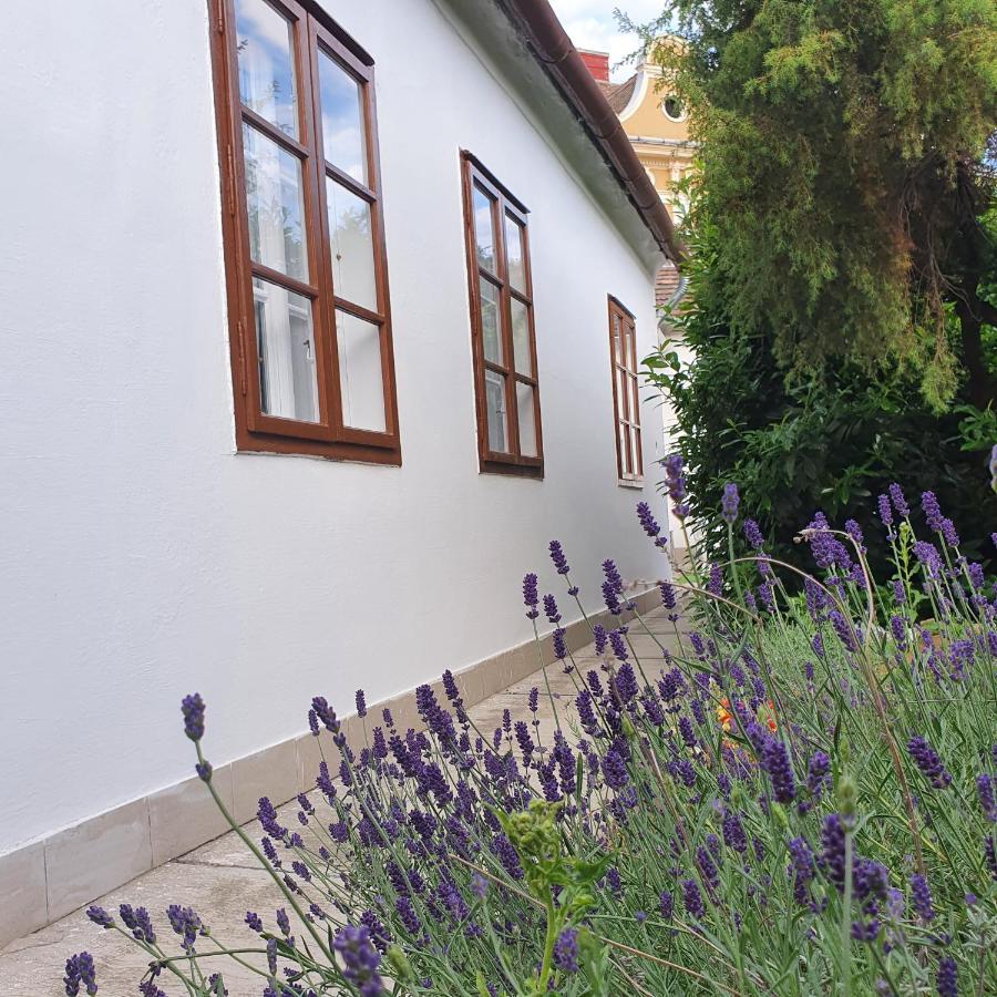 Corte Apartman Pápa Extérieur photo